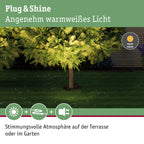 Paulmann Beleuchtungssystem Plug&Shine LED-Außeneinbauleuchte 6 W Warm-Weiß 93908 Silber 38 °