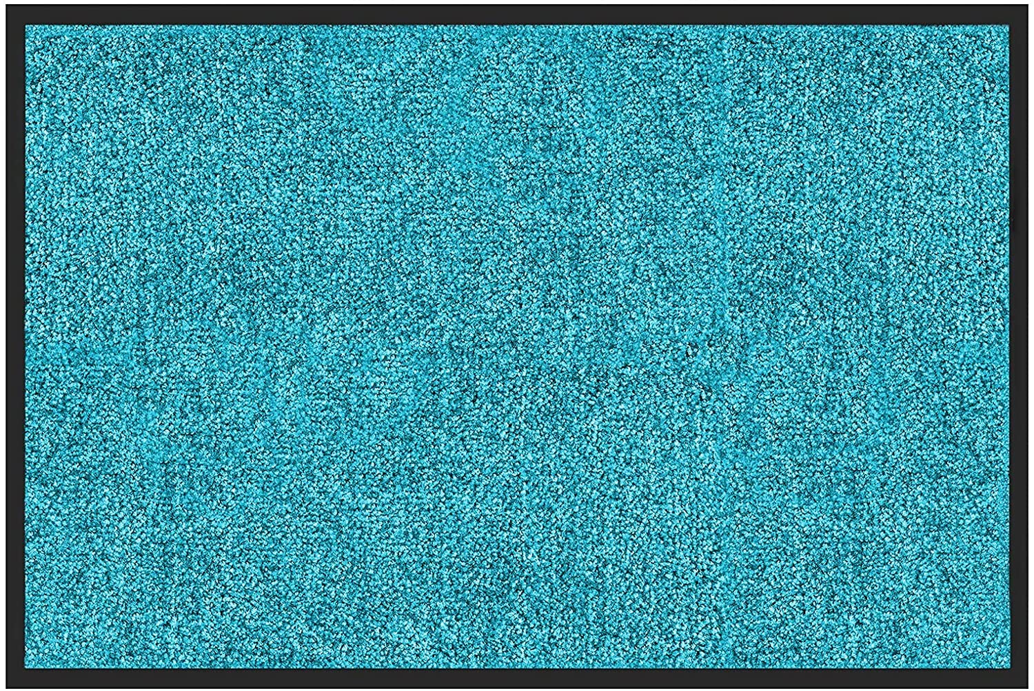 etm® Schmutzfangmatte - Fußmatte in vielen Größen - Türmatte Fußabstreifer für Haustür innen und außen (Türkis, 120x300 cm)