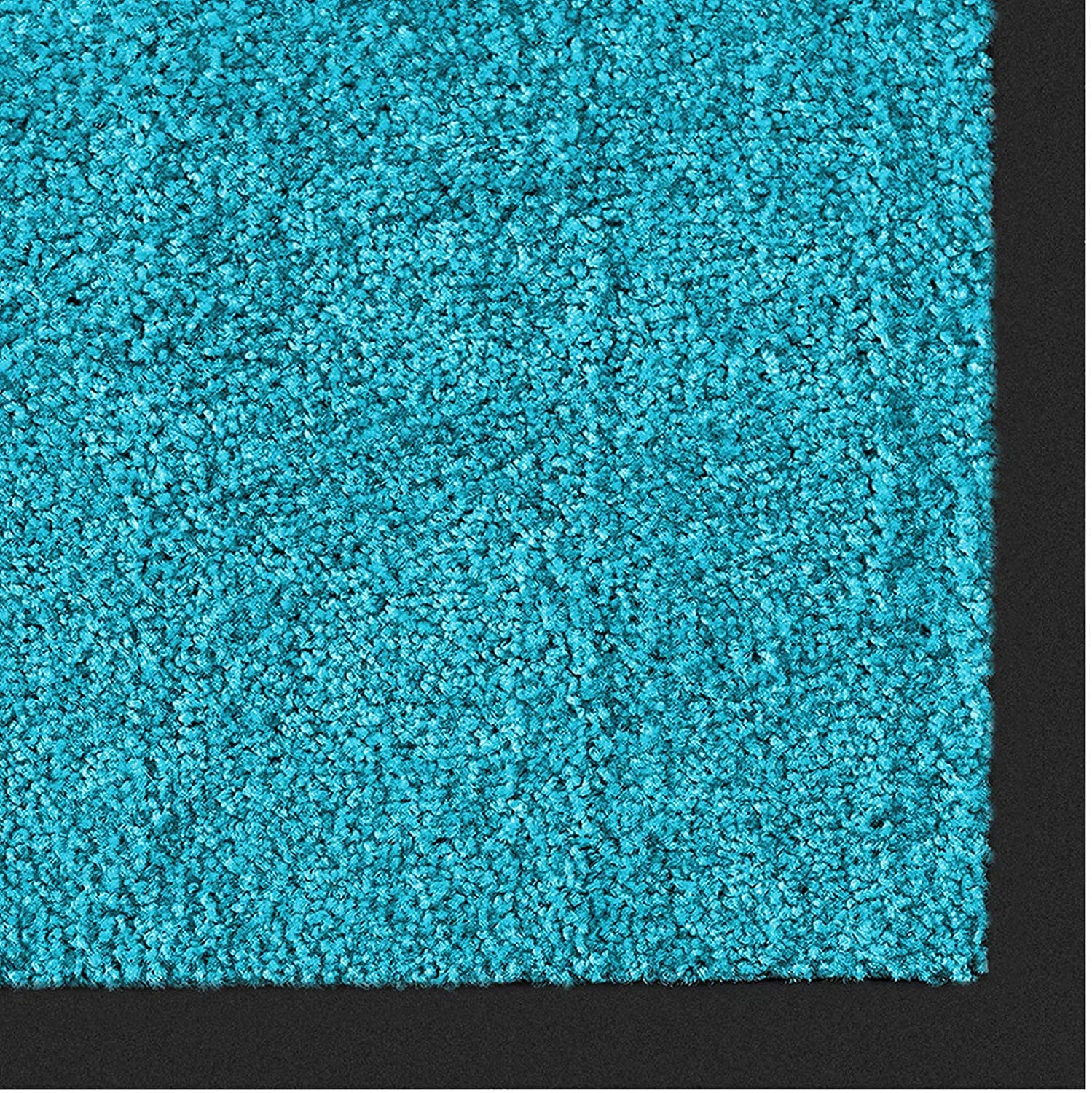 etm® Schmutzfangmatte - Fußmatte in vielen Größen - Türmatte Fußabstreifer für Haustür innen und außen (Türkis, 120x300 cm)