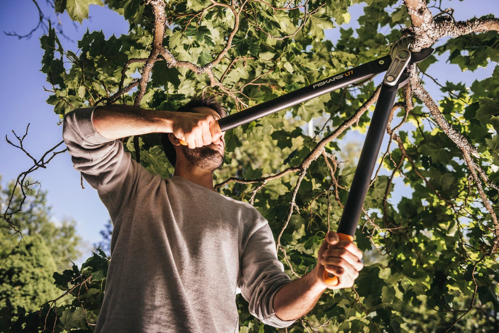 Fiskars PowerGear Amboss-Getriebeastschere für trockene Zweige und Äste, Schneide und stumpfes Gegenstück, Antihaftbeschichtet, Gehärteter Präzisionsstahl, Länge: 69 cm, Schwarz/Orange, L77, 1000583