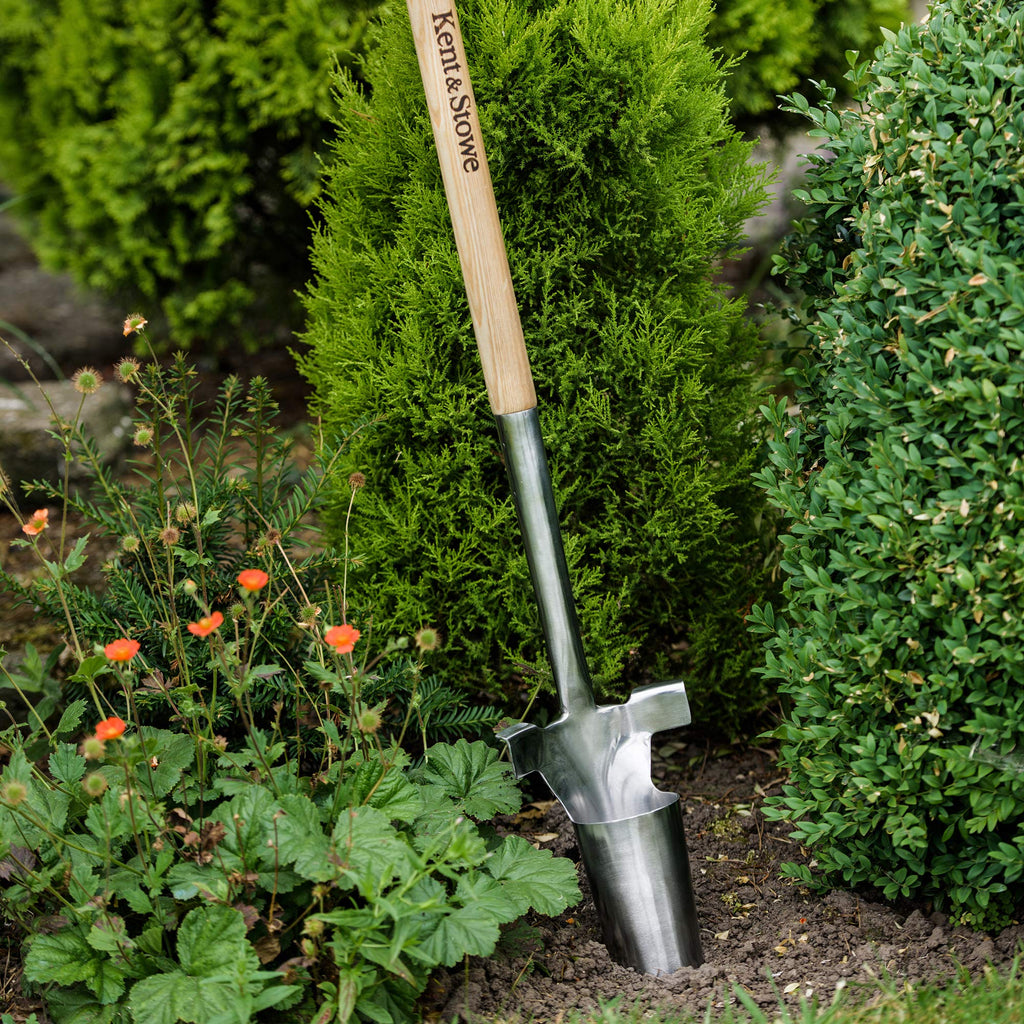 Kent & Stowe Langstiel Zwiebelpflanzer – Blumenzwiebel-Pflanzer aus Edelstahl, Zwiebel-Stecher mit Stiel aus Esche, Länge: 101 cm
