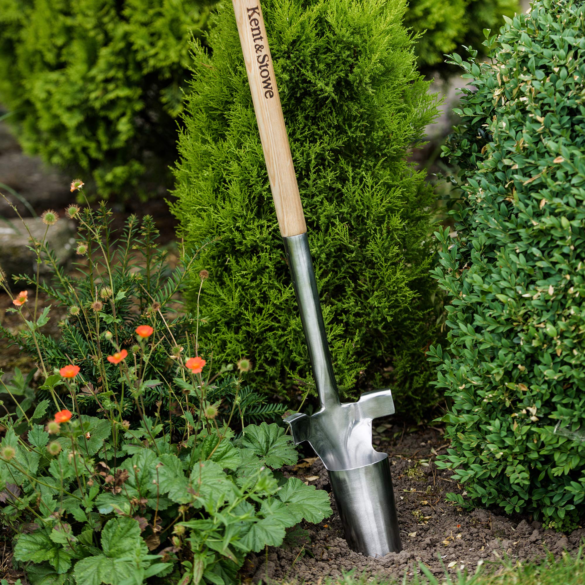 Kent & Stowe Langstiel Zwiebelpflanzer – Blumenzwiebel-Pflanzer aus Edelstahl, Zwiebel-Stecher mit Stiel aus Esche, Länge: 101 cm