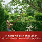 WOLF-Garten multi-star Amboss Profi Baumschere RC-VM (für Äste bis 40mm Ø, ideal für abgestorbenes & hartes Holz, passend für multi-star-System) 71ACA005650