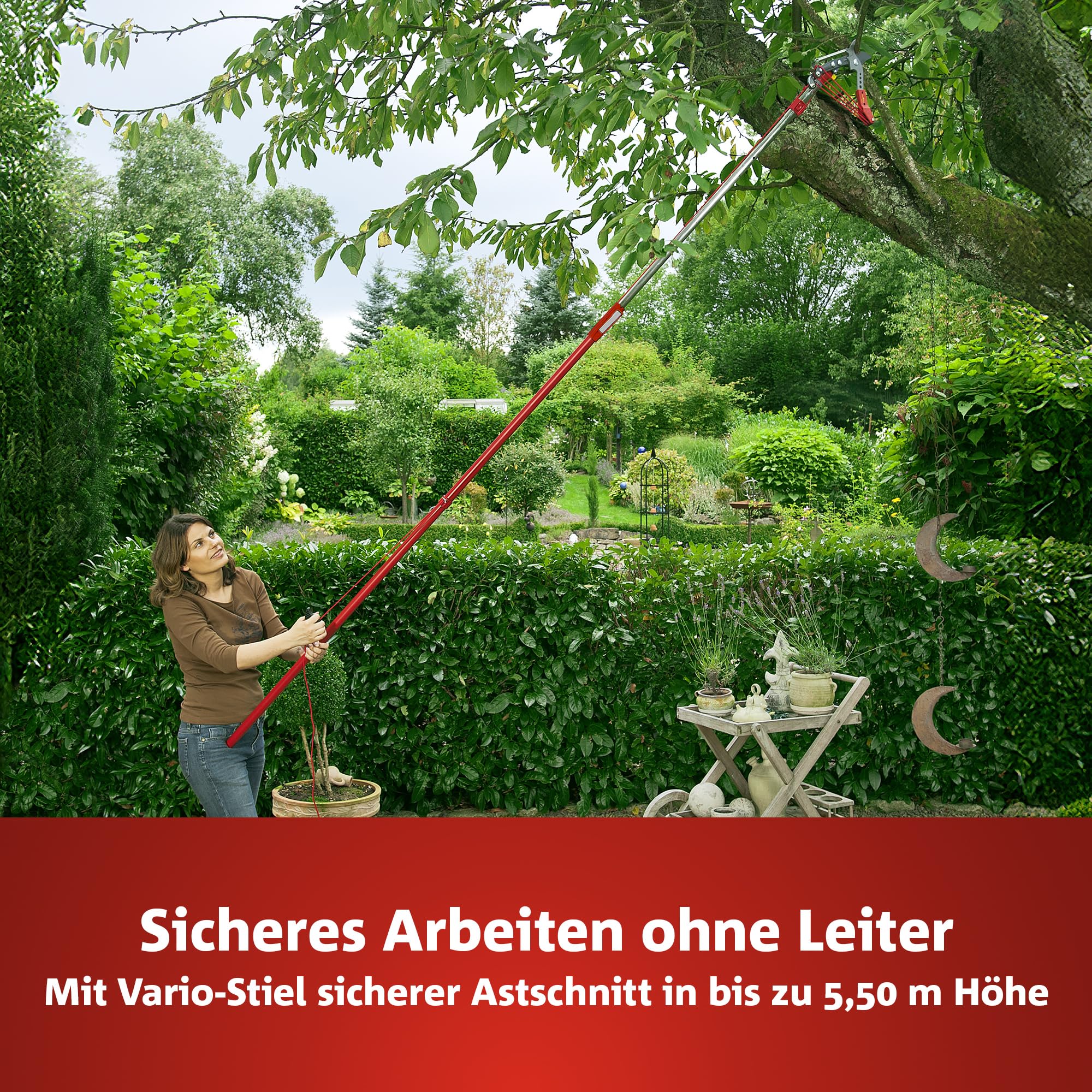 WOLF-Garten multi-star Amboss Profi Baumschere RC-VM (für Äste bis 40mm Ø, ideal für abgestorbenes & hartes Holz, passend für multi-star-System) 71ACA005650