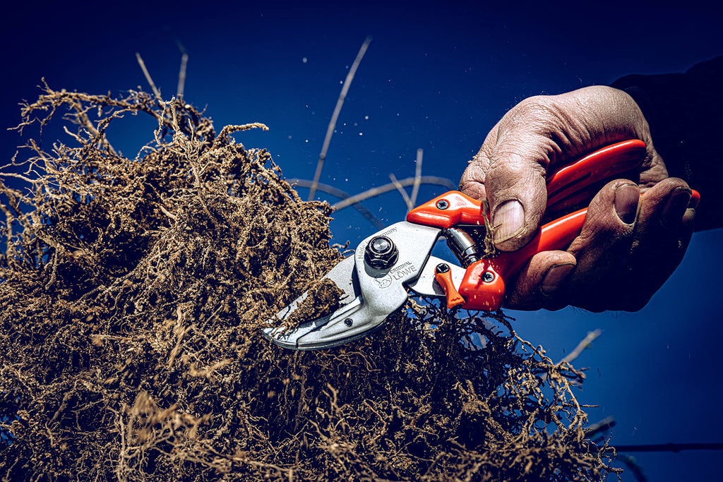 Original LÖWE 8 Profi Amboss Gartenschere 8.107 mit Bypass Geometrie - scharfe handliche Schere mit Stahl-Klinge Antihaftbeschichtung und ergonomisch geformte Griffe für Schneidarbeiten im Garten