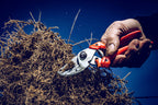 Original LÖWE 8 Profi Amboss Gartenschere 8.107 mit Bypass Geometrie - scharfe handliche Schere mit Stahl-Klinge Antihaftbeschichtung und ergonomisch geformte Griffe für Schneidarbeiten im Garten