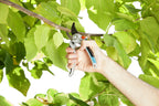 Gardena Gartenschere Alu B/L: Pflanzenschonende Baumschere mit Bypass-Schneide für Äste und Zweige bis 25 mm Durchmesser, robuste Alugriffe, auswechselbare Klinge, nachstellbares Gewerbe (8906-20)