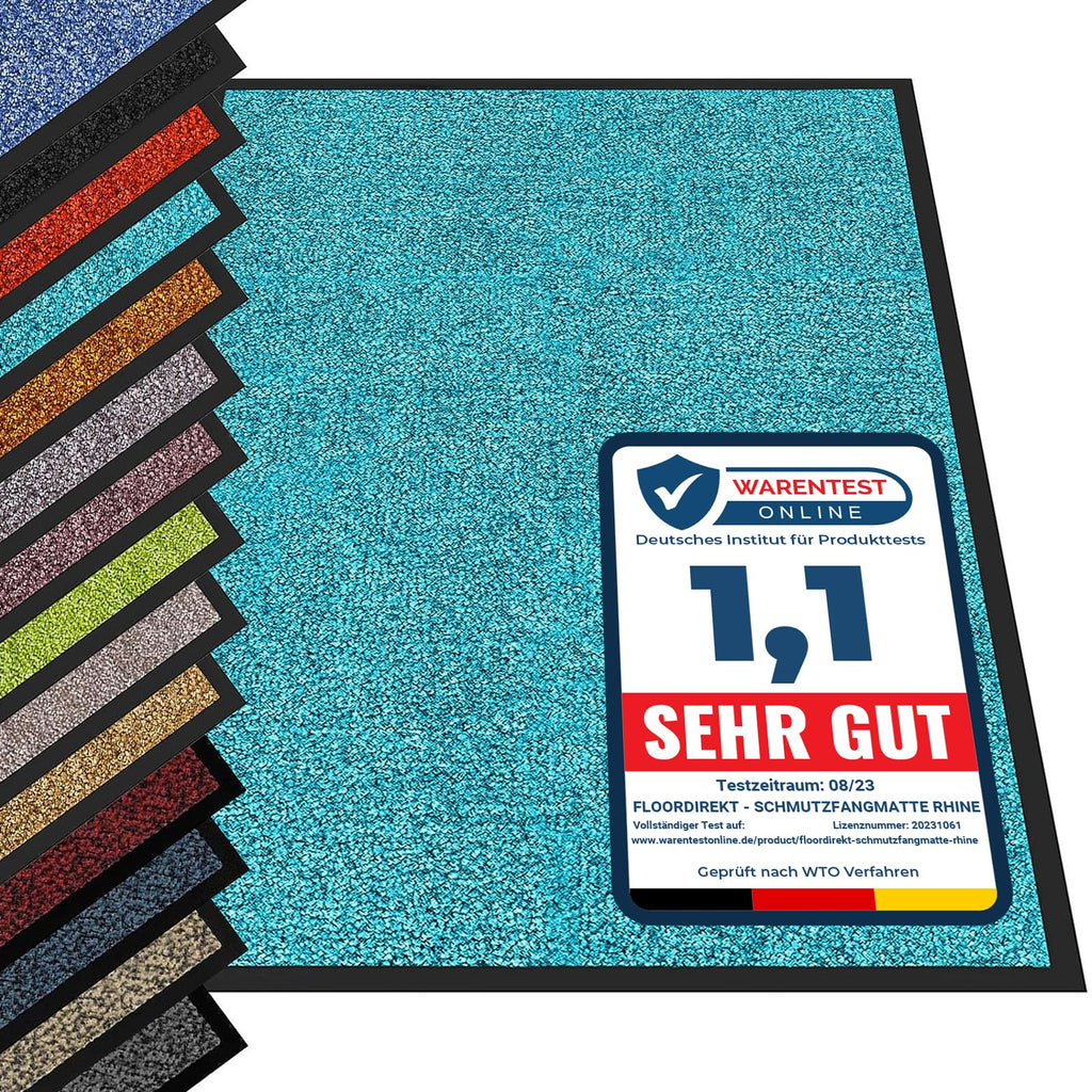etm® Schmutzfangmatte - Fußmatte in vielen Größen - Türmatte Fußabstreifer für Haustür innen und außen (Türkis, 120x300 cm)
