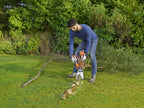 Black+Decker 18V Akku-Astschere Alligator (18V, 2.0Ah, 15cm Schwertlänge, bis 100mm Durchmesser, patentierte Klemmbacken, kabellos für maximale Freiheit beim Holzschnitt, inkl. Akku + Ladegerät)