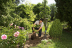 Gardena NatureLine Spatengabel: Grabegabel zum Umgraben und Auflockern, aus FSC-zertifiziertem Eschenholz, ergonomischer D-Griff (17002-20)